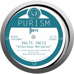 Valts Incis - Quiet Waters [PURISMW37]