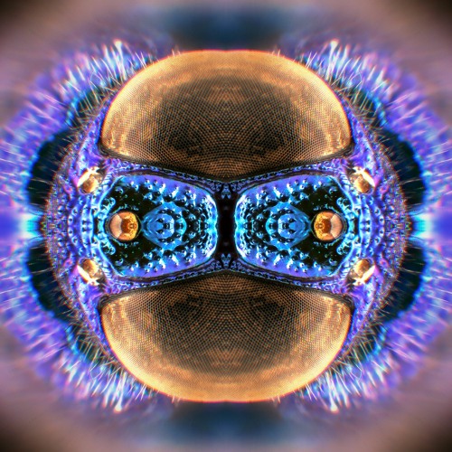 Come To The River (Demo)