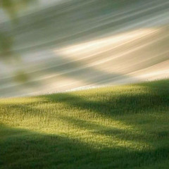 feelings are fatal (mxmtoon cover)