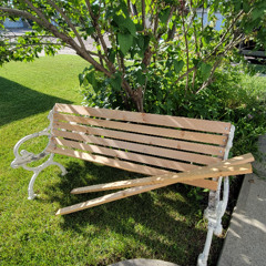 The Bench