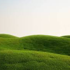 Basics In Behavior (Sweet)