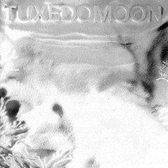 CC.002 - Tuxedomoon