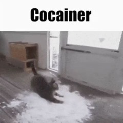 Heaven ( w/ bojack black and 32ohzee) fentcore (slowed + reverb)