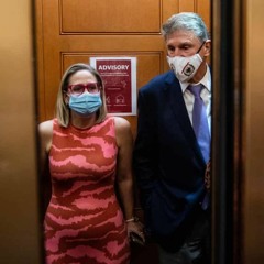 Wall Street Stooges in Congress
