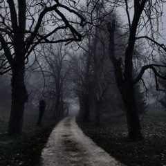 i never existed but there was a point in the timeline that made me believe i always did