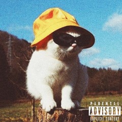 GATO • Ñengo Flow x Bad Bunny Type Beat • Gato de Noche Instrumental [FREE]