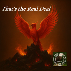 That's The Real Deal - When your nice you keep it real