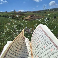 تلاوات