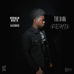 The Dark (Remix)