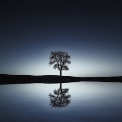 Lessons from the Cosmos