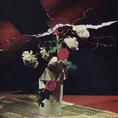 Konflicted Perspective. (2016) Remastered