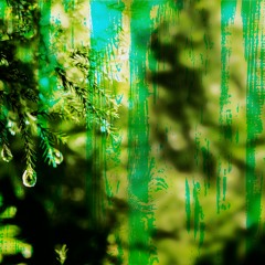 [Free DL]風の通り道(ColorBass Bootleg)