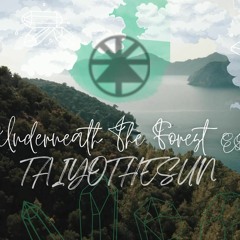 Underneath The Forest EP Mini Mix - TAIYOTHESUN