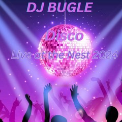 Disco Live At The Nest 2024