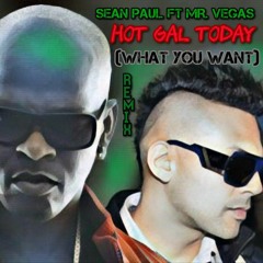 SEAN PAUL FT MR. VEGAS - HOT GAL TODAY - (WHAT YOU WANT) REMIX