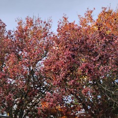 Immersions Progressive House Mix