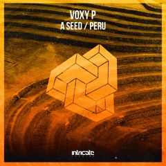 Voxy P - A Seed (Original Mix)