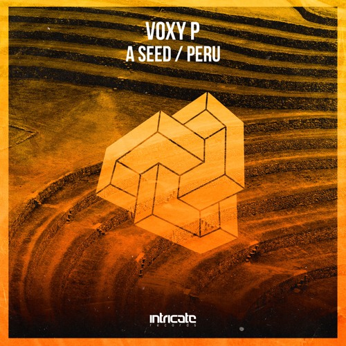 Voxy P - A Seed (Original Mix)