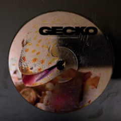 ZB-GECKO