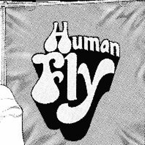 Human Fly
