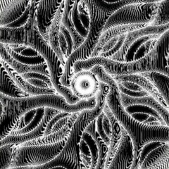 Schizoscriptures - Mothlight