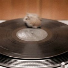 Pluto Projector - ROC (cover)