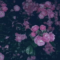 ROCK-A-POPPYのSad Vacation