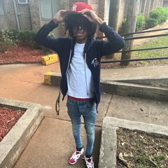 The bricks