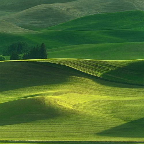 Billie Eilish - i love you (only guitar)