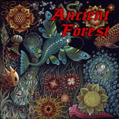 Ancient Forest