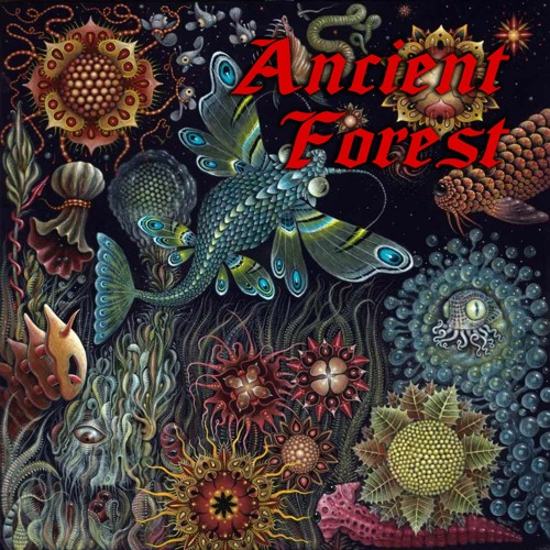 Ancient Forest