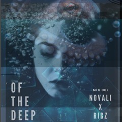 Of The Deep X B2B Rigz