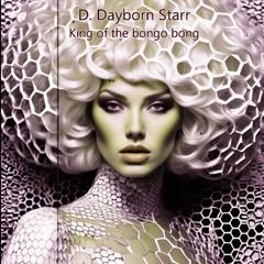 D. Dayborn Starr - King of the Bongo Bong [Silenzio's Acid Flow mix]