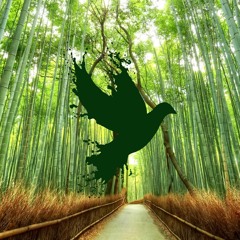 Take A Walk (Free Download)