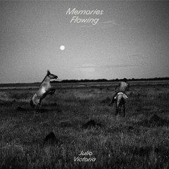 PREMIERE : Julio Victoria - Memories Flowing