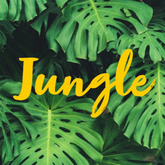 Jungle (ft. BundyBandz x 00gocrazy)