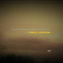 Something In The Orange (Fiddle Version) TipsyTaco Remix