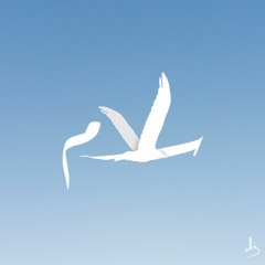 Salam (Reached The Upload Limit, Listen on Spotify, Itunes, Bandcamp..)