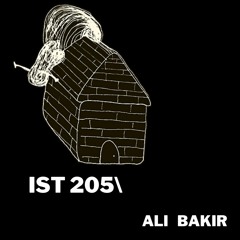 IST 205\Ali Bakır