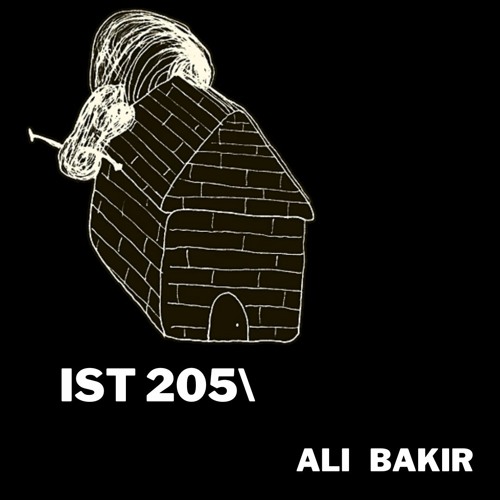IST 205\Ali Bakır