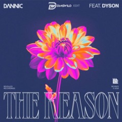 THE REASON - ( DIMSSWILD EDIT )