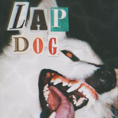 Lap Dog
