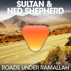Roads Under Ramallah (Namito Wants His Vote Back Mix)