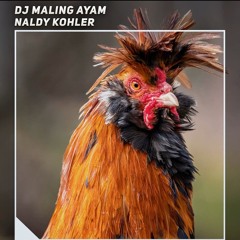 Dj Sakit Tak Sanggup - Naldykohler