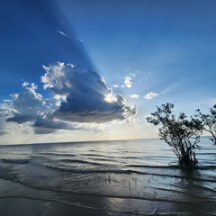 TAG Intel 3+1 Aug 22 2025