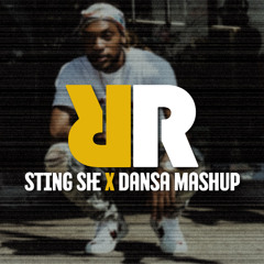 118- Dansa X Sting She Remix Mistah Chaotic