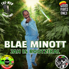 BLAE MINOTT - Jah Is Rootzikal / TruMon Dubplate