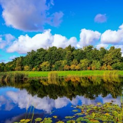 アグリコルPdfAgricoles romantic background music DOWNLOAD