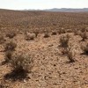 Descargar video: Where The Salt Bush Grows