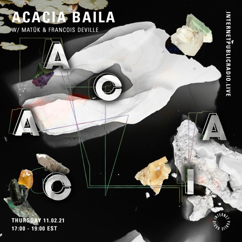 Acacia Baila - IPR 020321 - Francois Deville